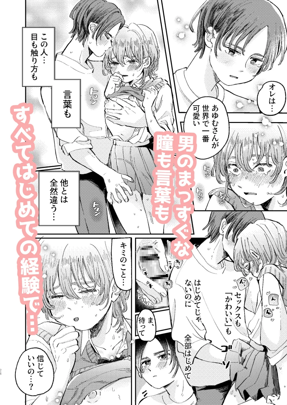 ヤリサーの姫くんのすべてを手に入れるまで