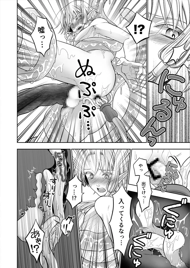 気高きエルフは淫らに堕ちて腕の中 気高きエルフは淫らに堕ちて腕の中