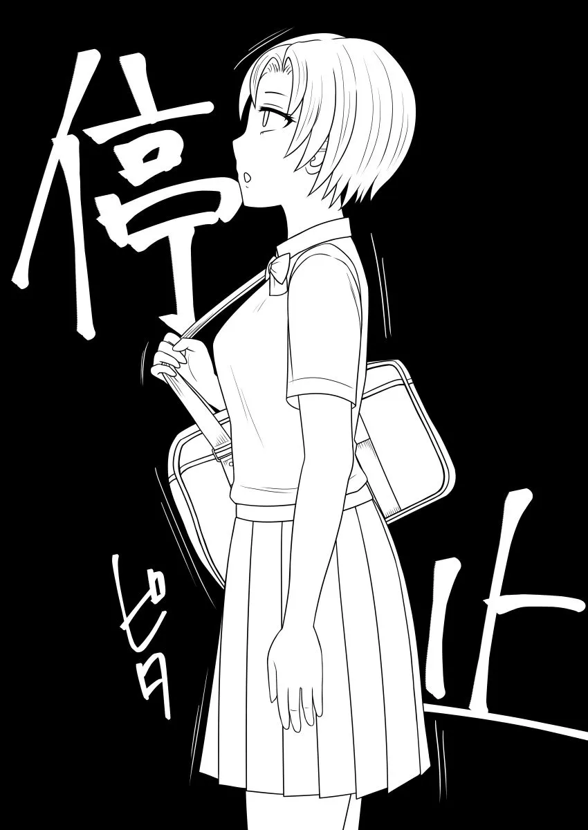 俺の時間停止ダッチワイフ