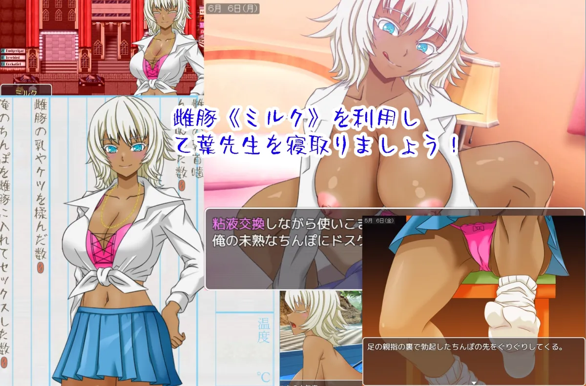 乙葉のネトラレ日記 乙葉のネトラレ日記