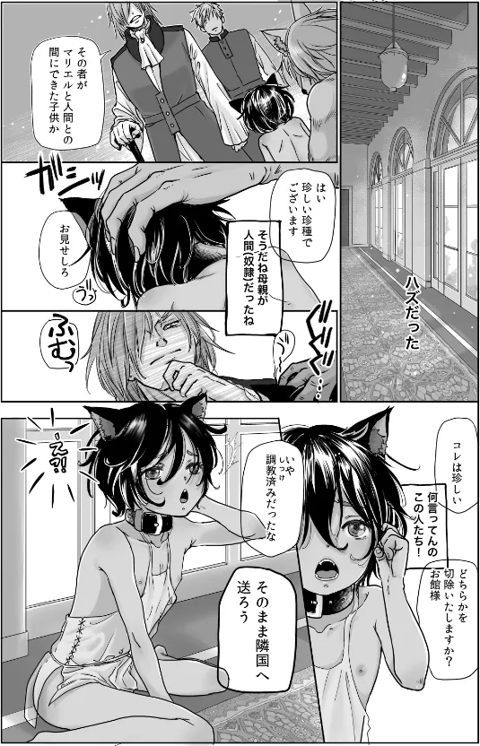 僕、異世界で猫耳性奴隷として隣の国まで旅をしてます。