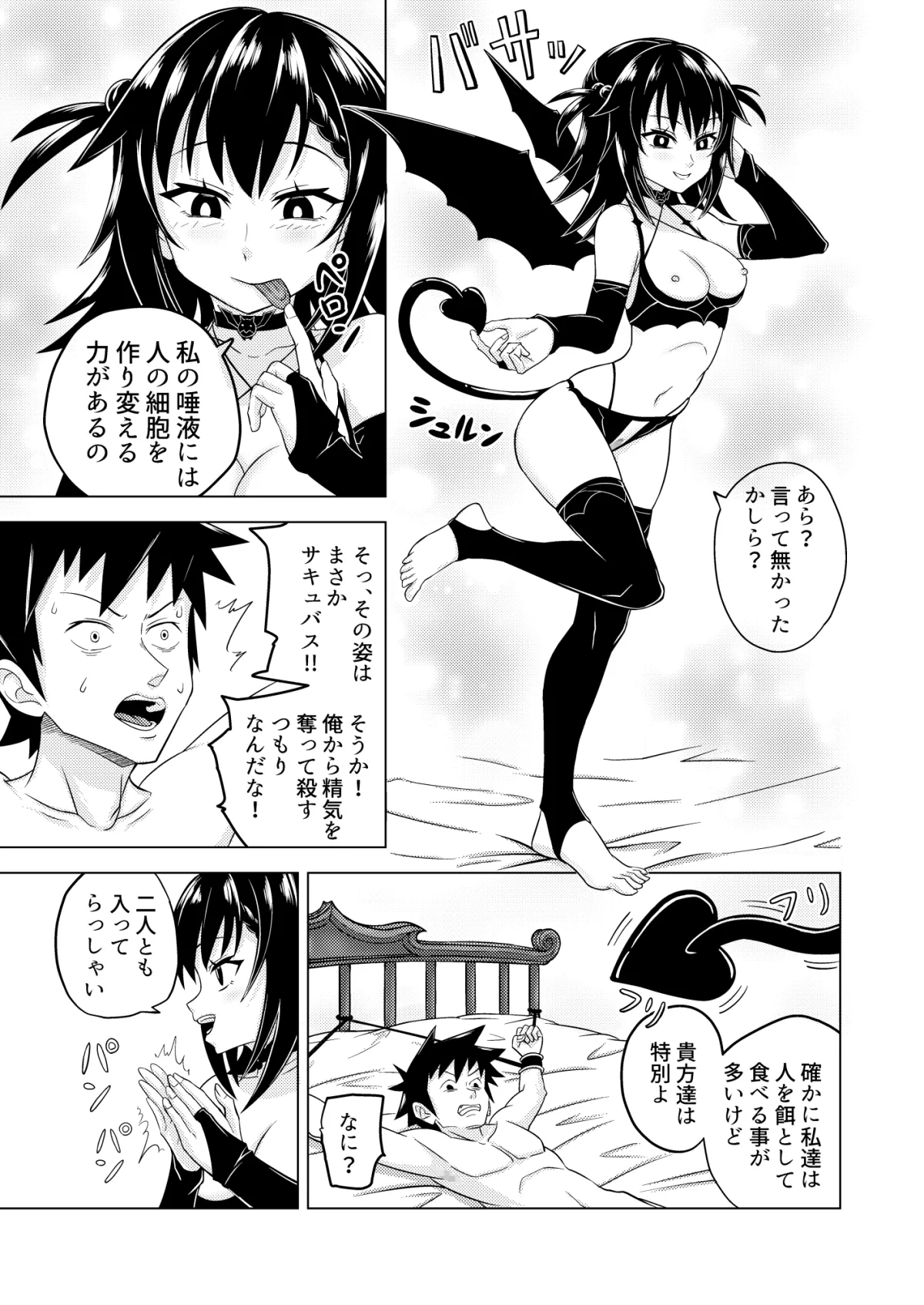 【サキュバス攻め・男性受け】淫楽の扉 ロゼッタ編・上