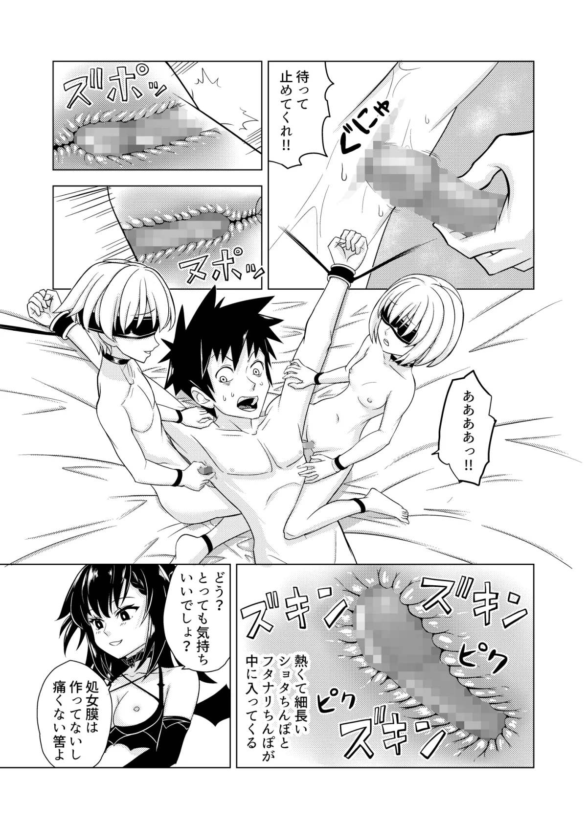 【サキュバス攻め・男性受け】淫楽の扉 ロゼッタ編・上