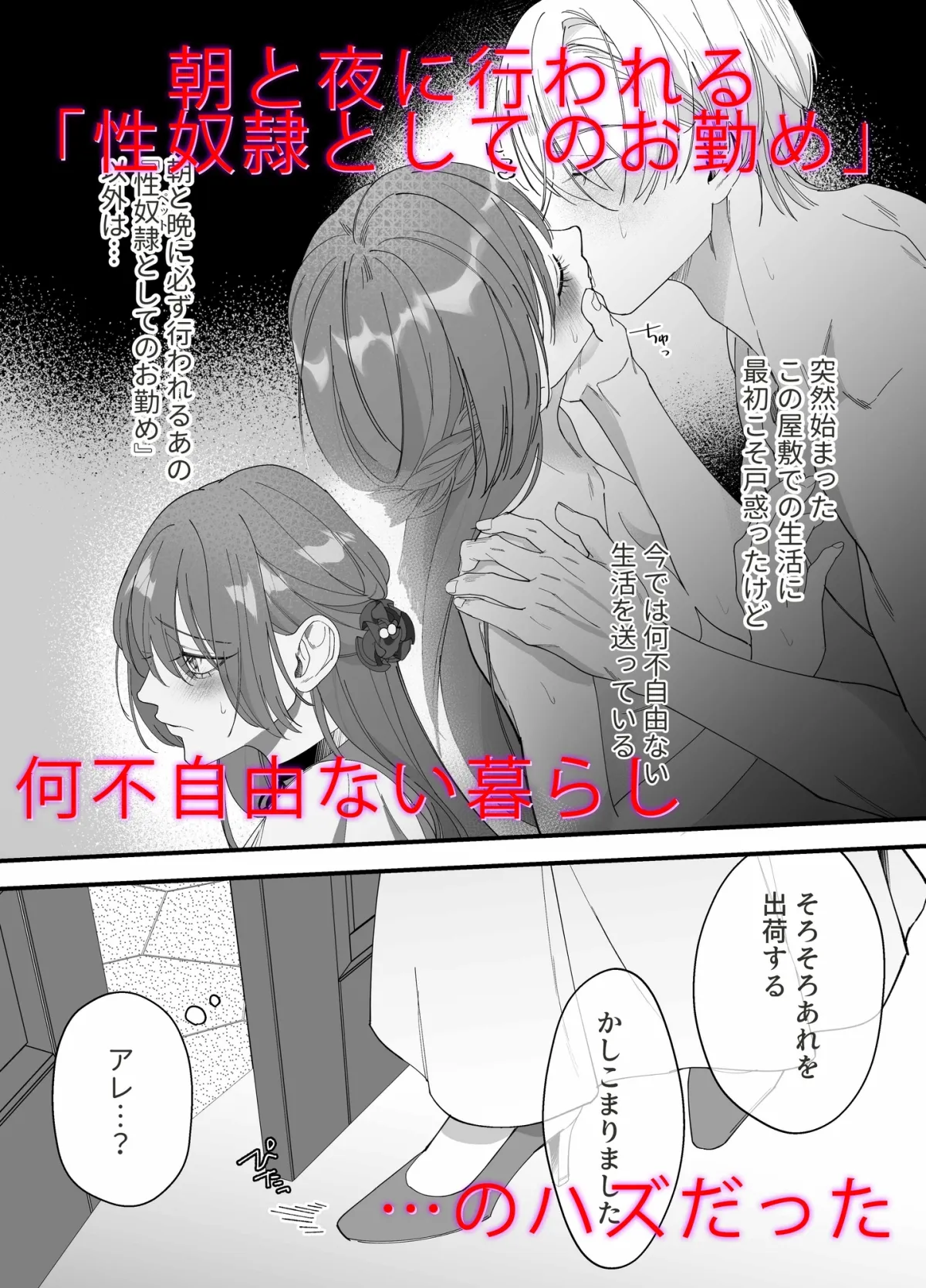 性奴隷のはずが溺愛されています