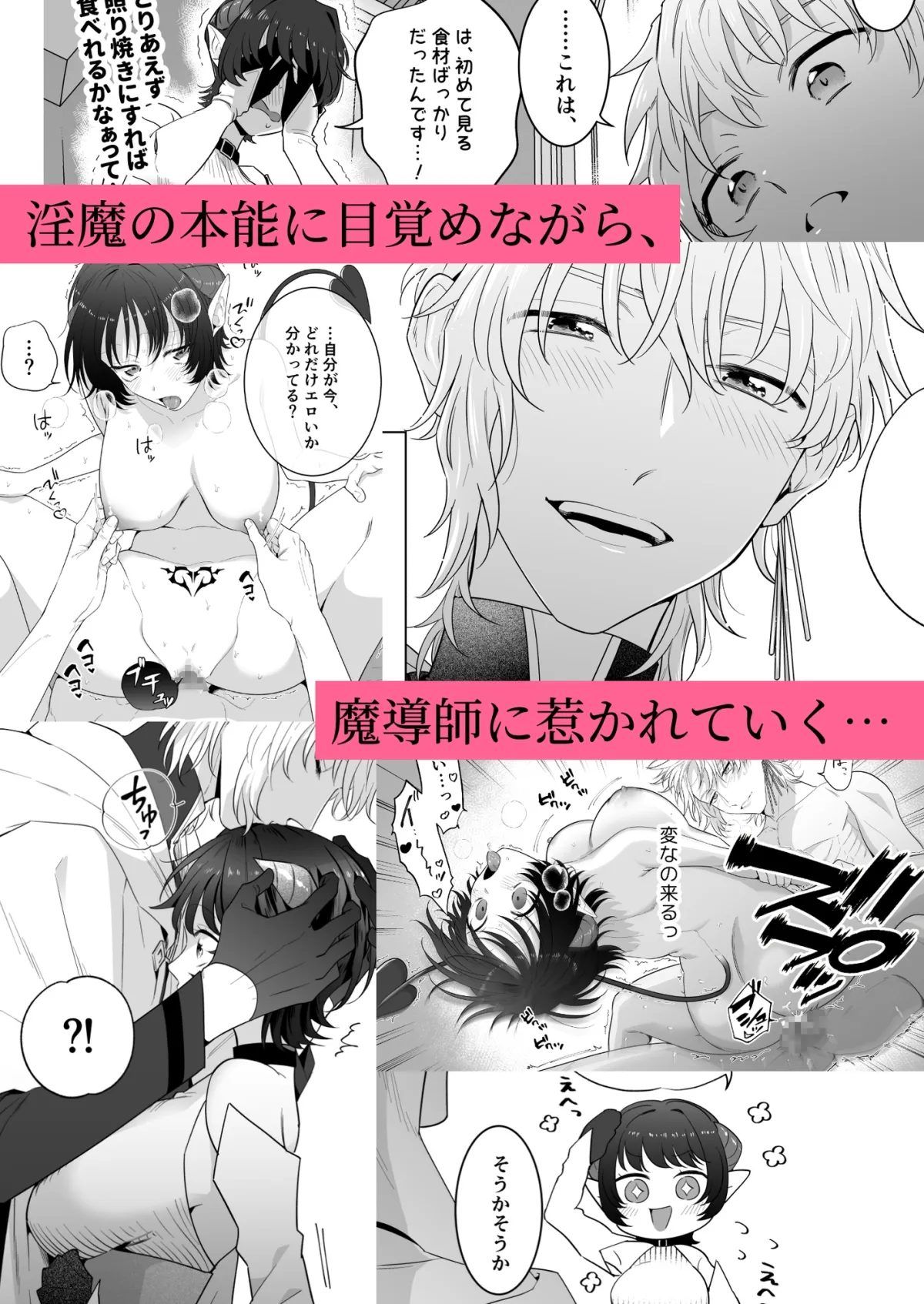 異世界転生したポンコツ淫魔はドS魔導師の使い魔になりました! 異世界転生したポンコツ淫魔はドS魔導師の使い魔になりました!