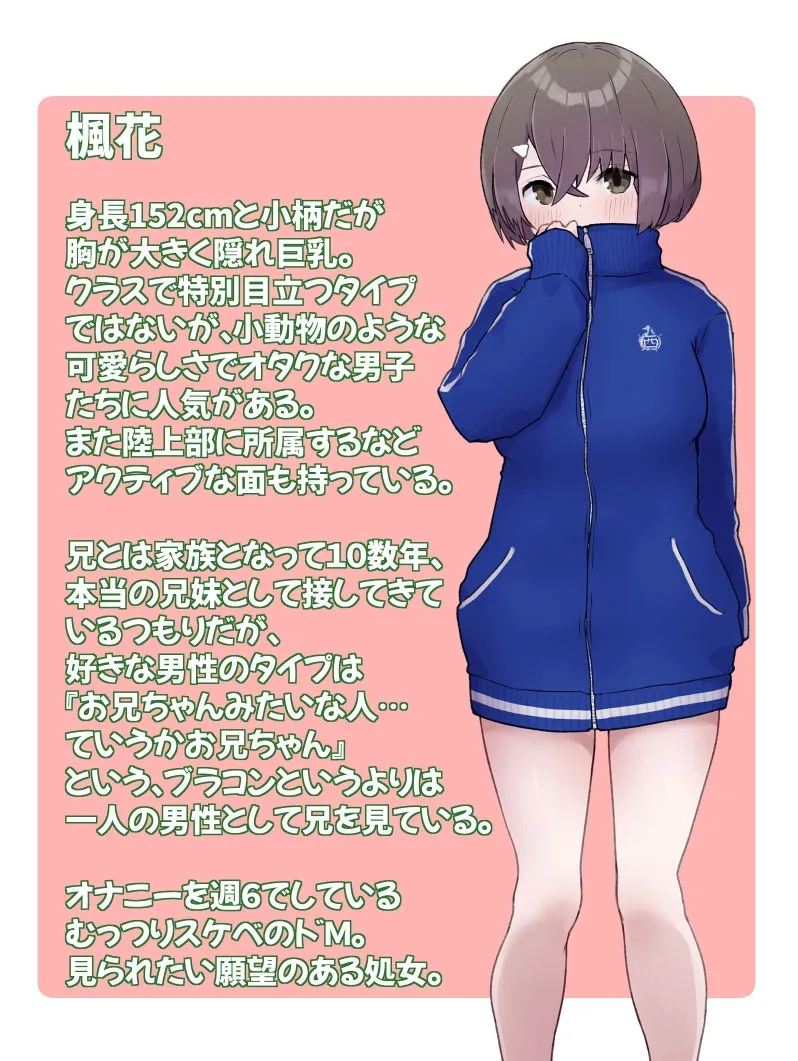 エロチューブ登録者100万人達成しないと助けが来ない無人島に送られた俺たち兄妹 エロチューブ登録者100万人達成しないと助けが来ない無人島に送られた俺たち兄妹