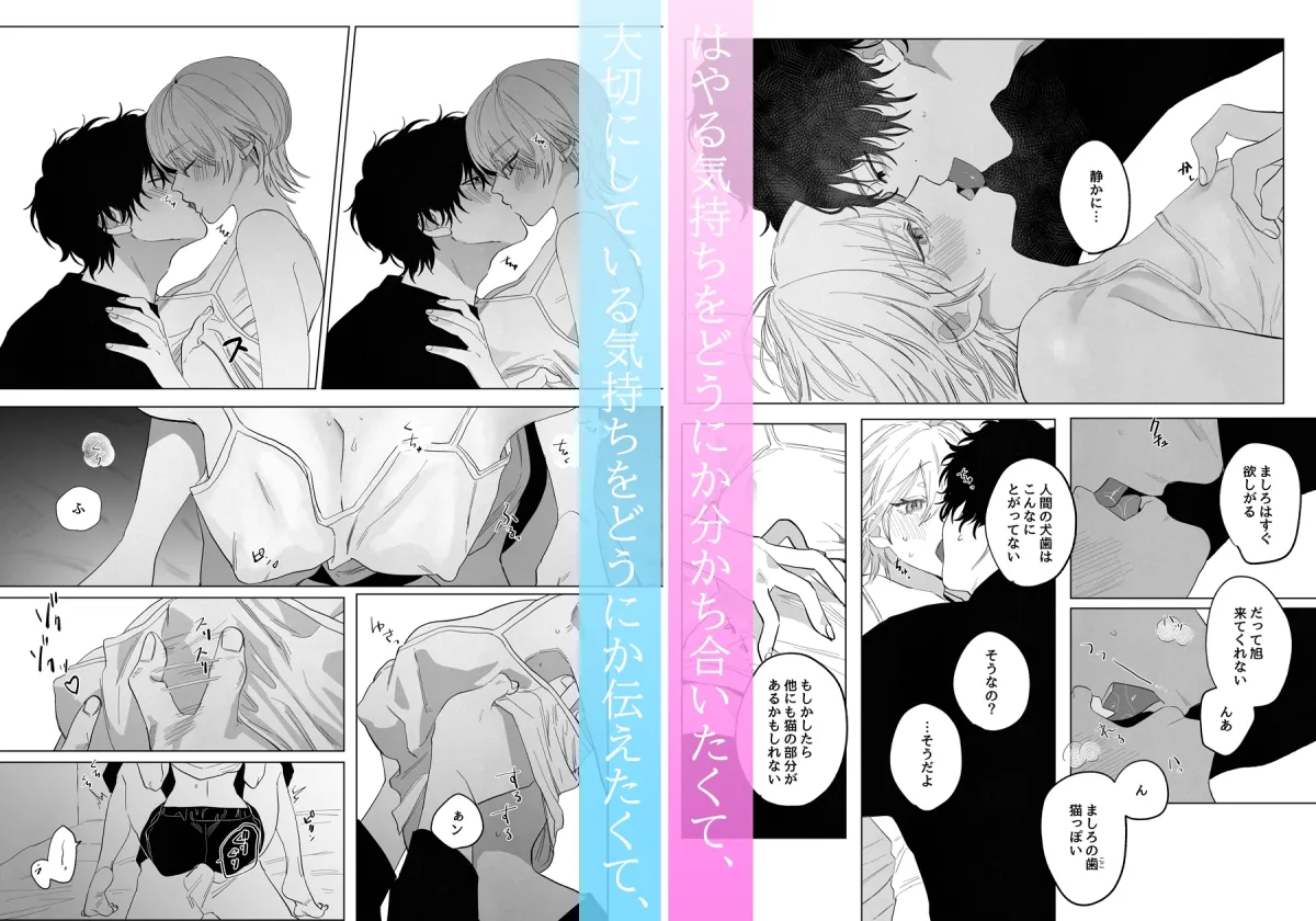 化け猫と未亡人 化け猫と未亡人