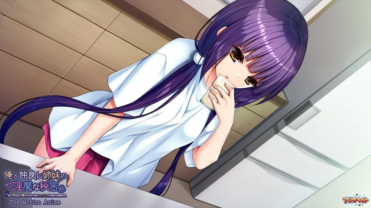 俺と仲良し姉妹の淫魔な秘密〜妹に死ぬほど嫌われながら姉とセックスする奇妙な同居生活 The Motion Anime