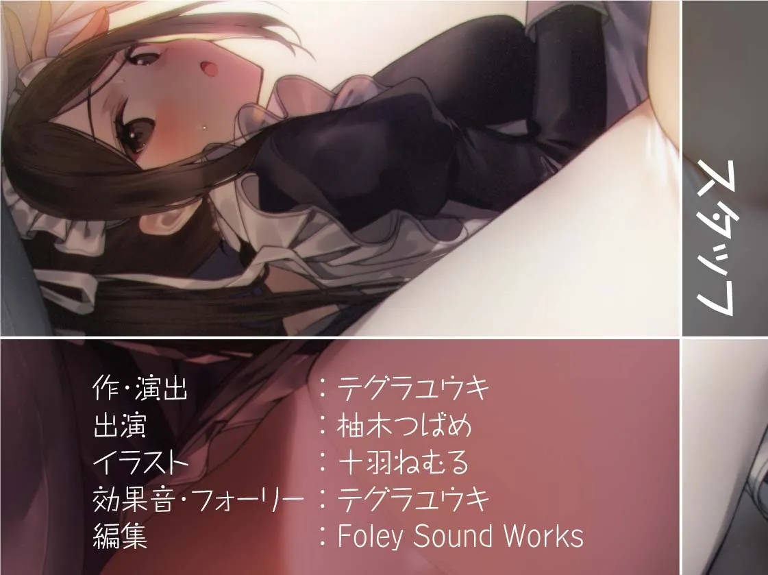 【CV:柚木つばめ】密着お布団生ハメメイド【フォーリーサウンド】【イラスト:十羽ねむる】 【CV:柚木つばめ】密着お布団生ハメメイド【フォーリーサウンド】【イラスト:十羽ねむる】