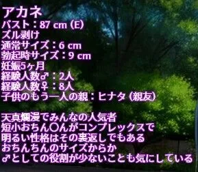 ふたなりぼて娘でーたぶっく