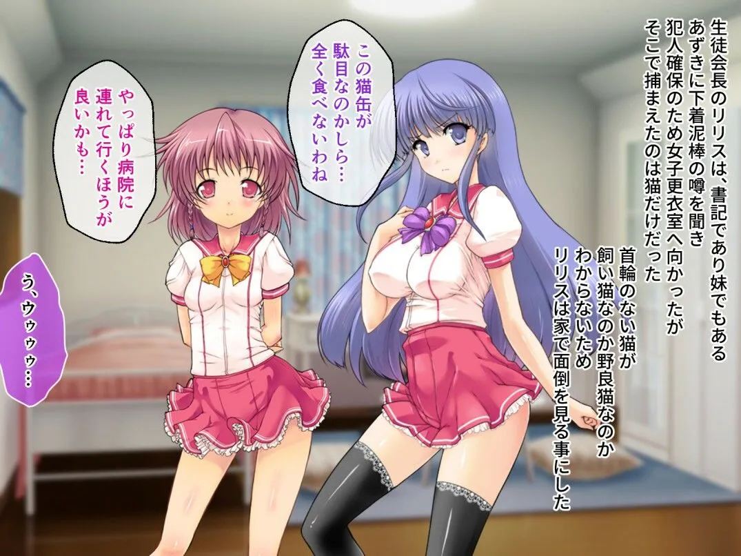 触手ペット2 CGノベル版 〜異種姦コミュニケーションのススメ〜