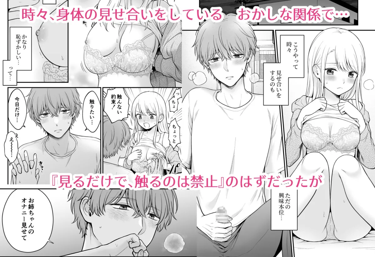 溺愛弟に迫られて~見せ合いから触れ合いへ~ 溺愛弟に迫られて~見せ合いから触れ合いへ~